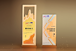 VSPORTS(中国)国际一举斩获“2024年度中国区最佳雇主”等多项大奖